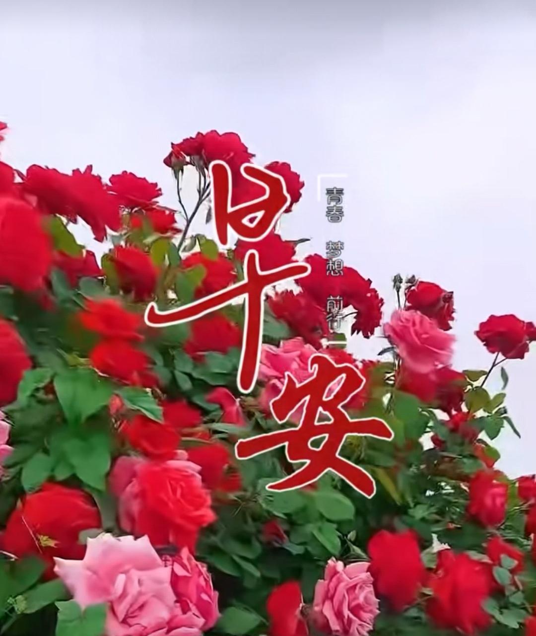 人若知足天地寬，心裝好友不孤單，牽掛不分遠與近，真情友誼重如山，每天想著