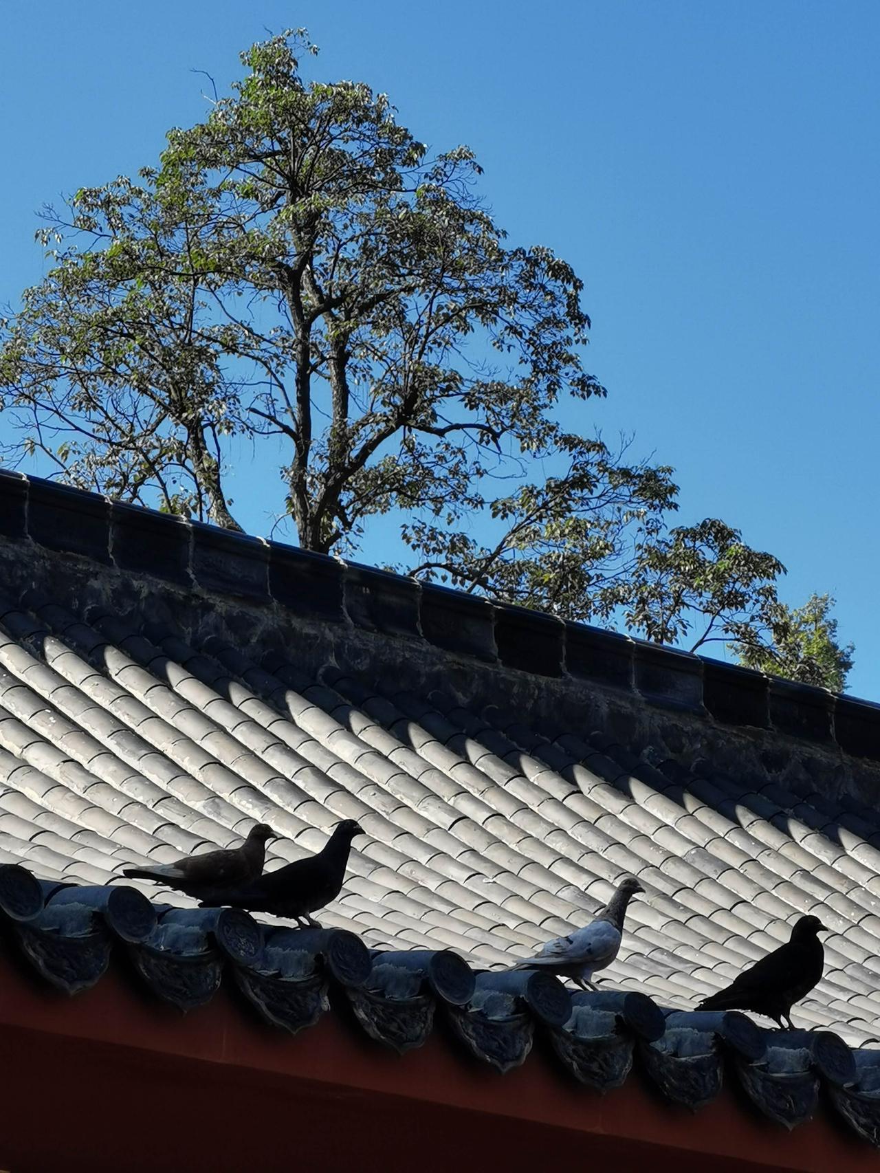 纳瓦尔说理性的人会对无法控制的事情培养漠不关心的态度，深以为然。在他2025年的