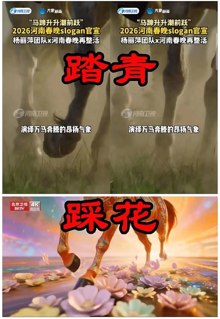 对上了，河南卫视有了“万马踏青迎新春”，北京卫视就出来一个踩花，花既“华”