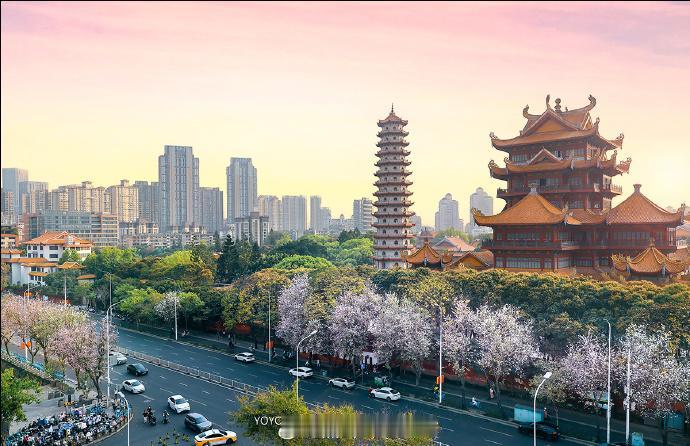 福州财政收入增长出色！2026年1-3月，福州全市地方财政收入为256.53