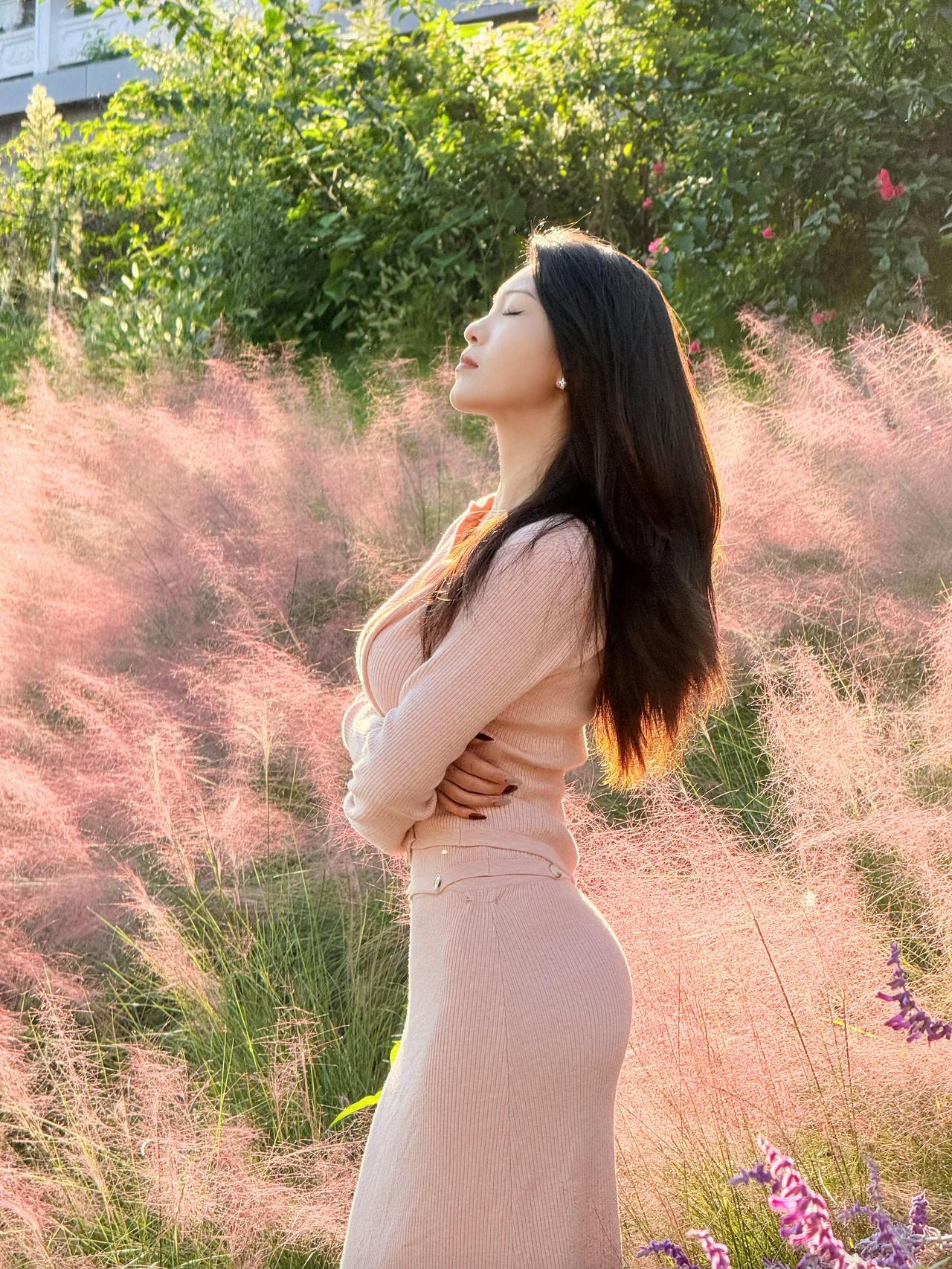 看阳光多明媚，把粉黛乱子草晕染成一片温柔的霞。风掠过发梢时，连空气都泛起粉色的涟