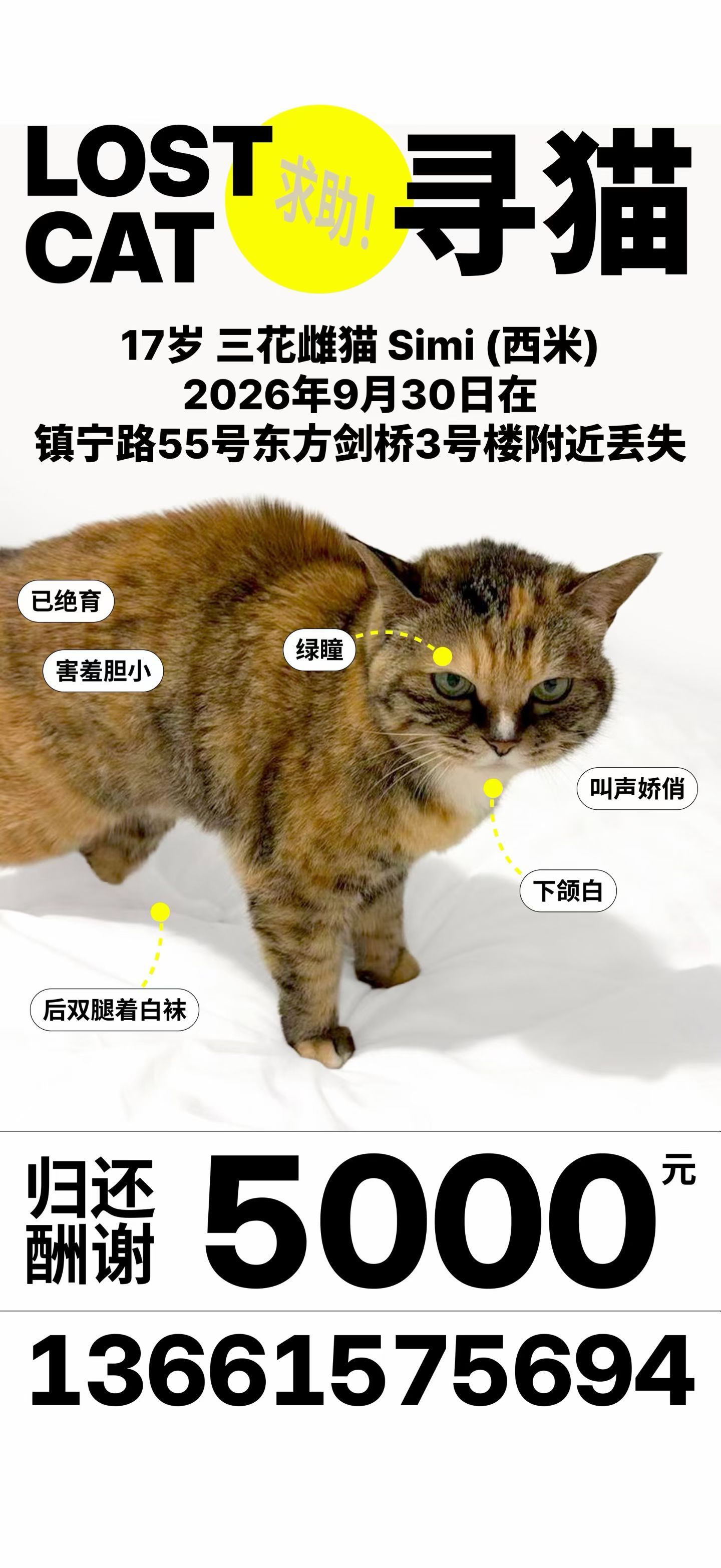 寻猫启事上海本地的盆友帮我转发​​​