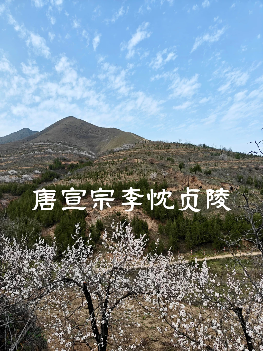 唐宣宗李忱贞陵