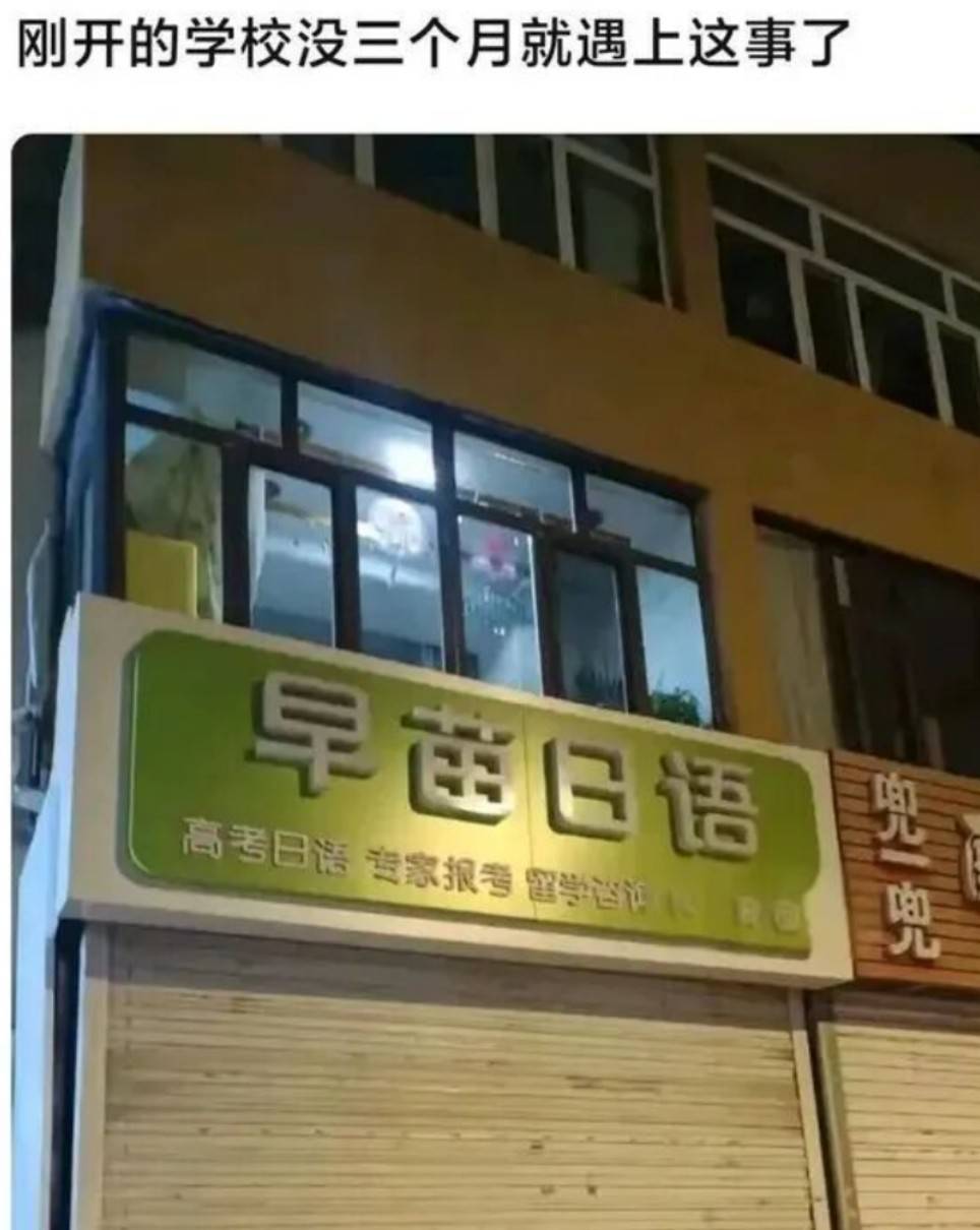 也是给你撞到了