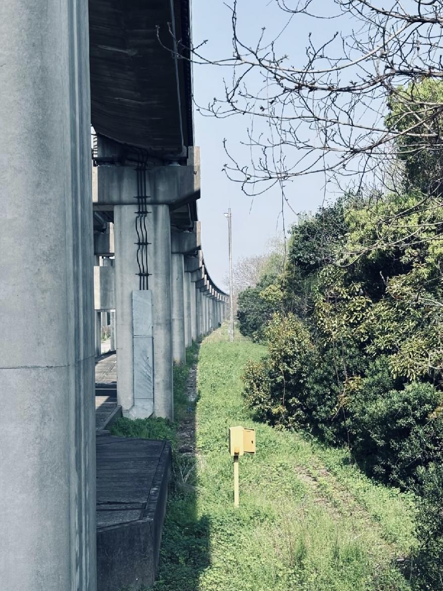 著名心理学家说：“熟人只浏览不点赞，其实这就是最体面的疏远。不是他们看不见