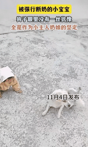 你把狗妈妈的奶喝光了，那几只刚出生的小狗崽喝西北风吗？别觉得这只是小事，先