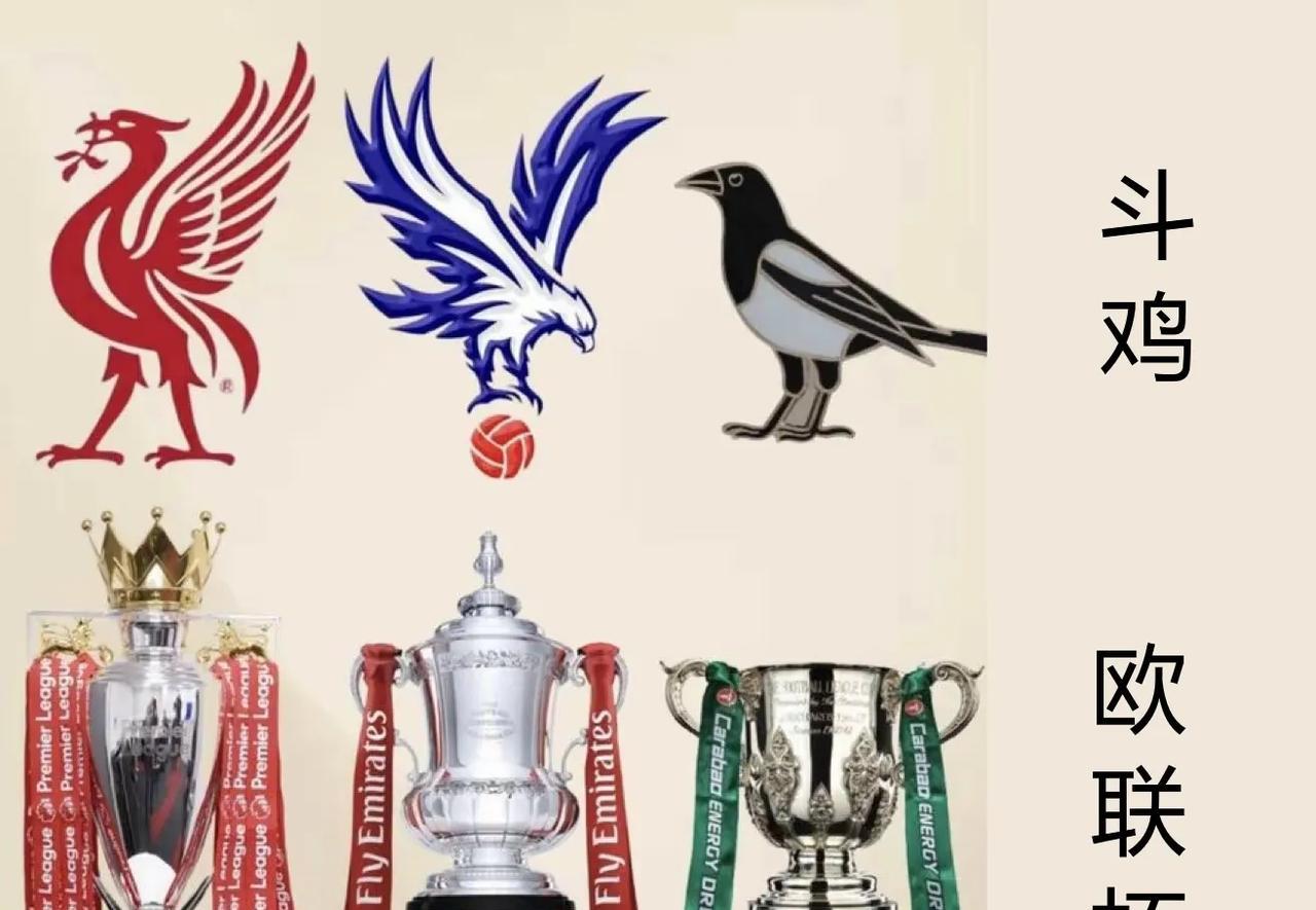 英超“鸟”队大开会！利物鸟：我是英超冠军！老鹰：我是足总杯冠军！喜鹊：我是