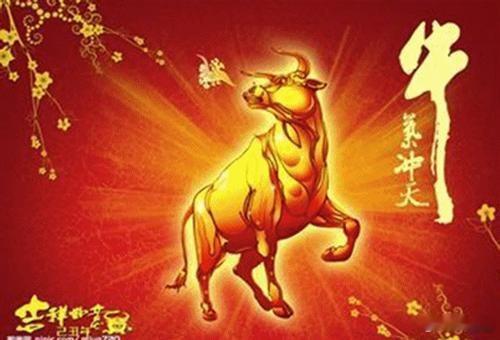今年在A股没赚到钱，多半是忘了这句老话：牛市不言顶，熊市不言底！当下行情极端割裂