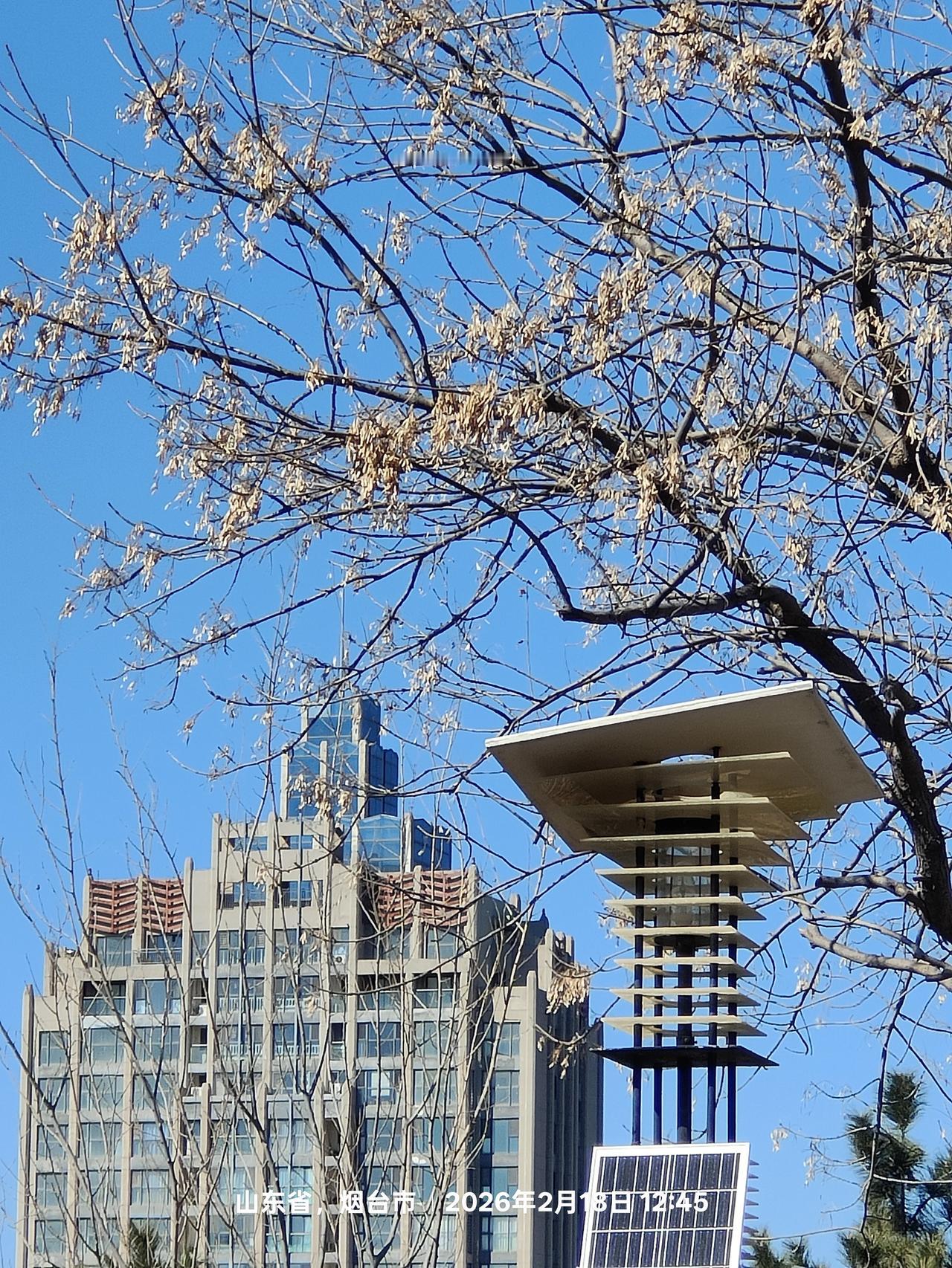 开始手机摄影的学习吧看到人家拍得真好很是羡慕今年也系统学习下[吐舌头眯眼睛笑][吐舌头眯眼睛笑][