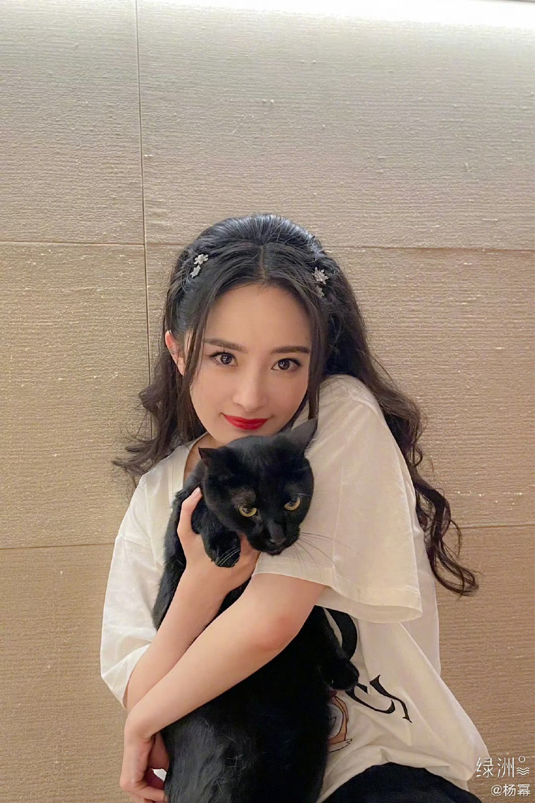 杨幂人瘦瘦的养的猫胖胖的😅