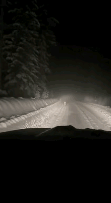 谁能说出比这更刺激的