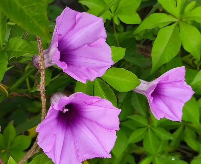 老婆走的那天，他觉得这辈子完了他今年四十六，离婚那天，她把结婚照剪成两半，扔下