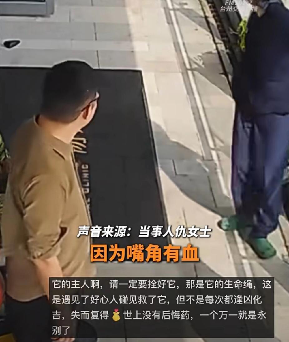 随便捡来的狗都能转手卖钱吗？11月26日，江苏苏州仇女士看到狗狗被铁链拴住，旁边