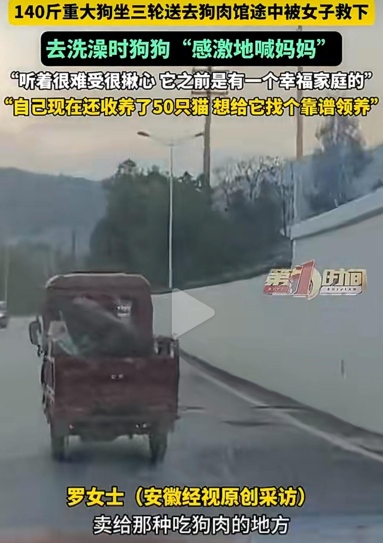 重庆的罗女士在路上碰到一位大爷，正用车子拉着这只大狗往狗肉馆送。狗狗一直不停叫，