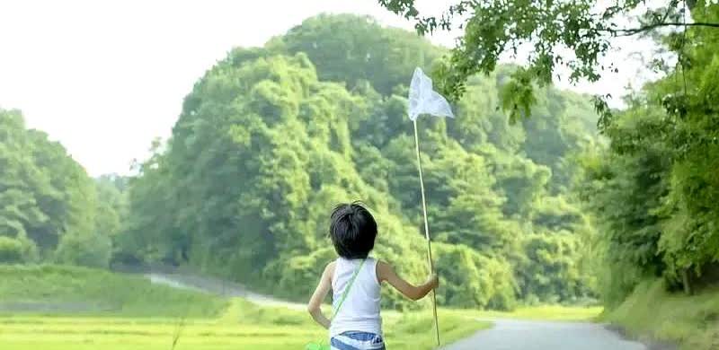 亲属家孩子想报考军校，考前政审已通过。昨天分数出来了，更坚定地要报考军校