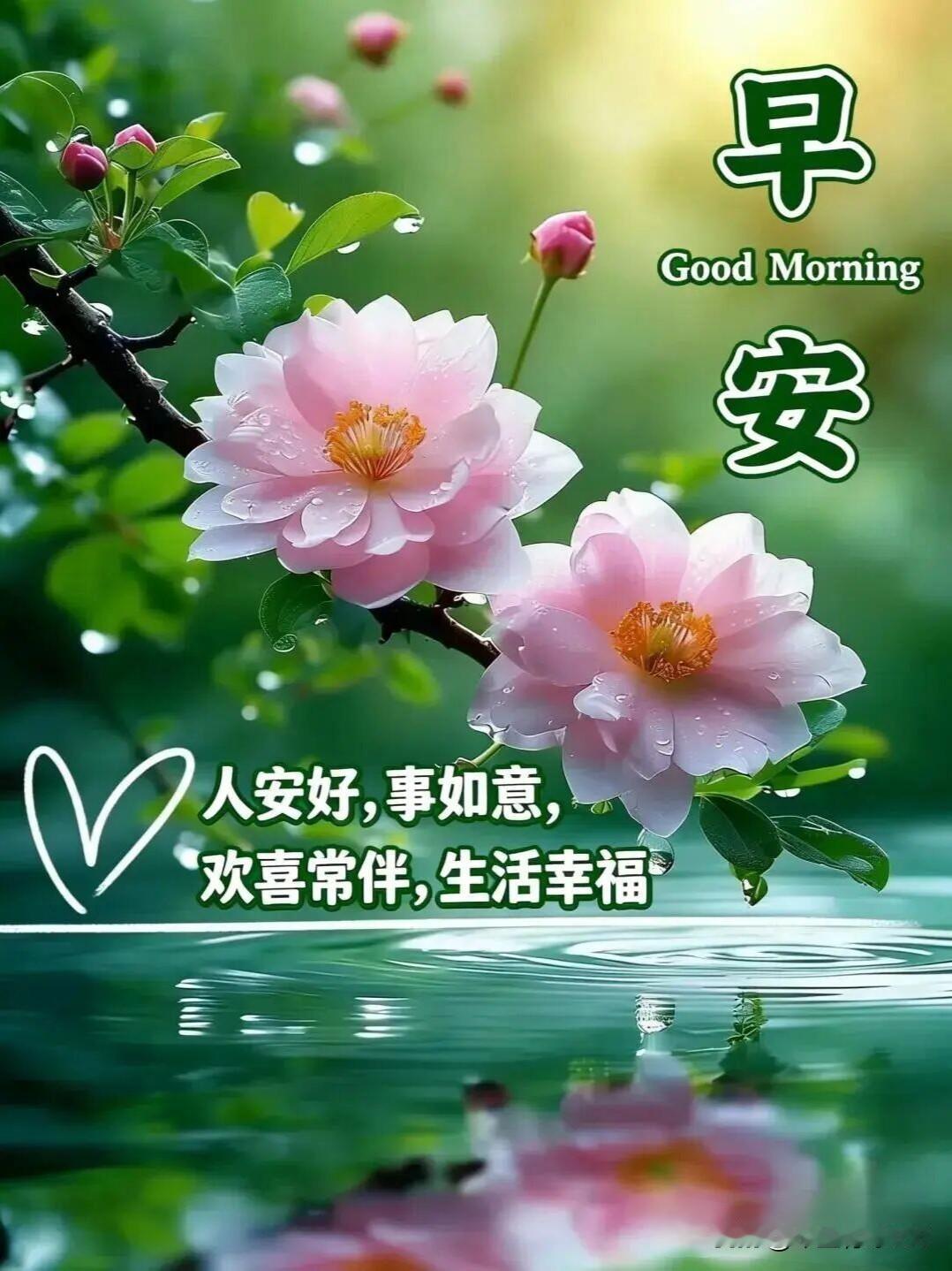 今天是周四，一周马上就要结束了，感觉生活最好的状态，不是跑得最快，而是懂得适时放