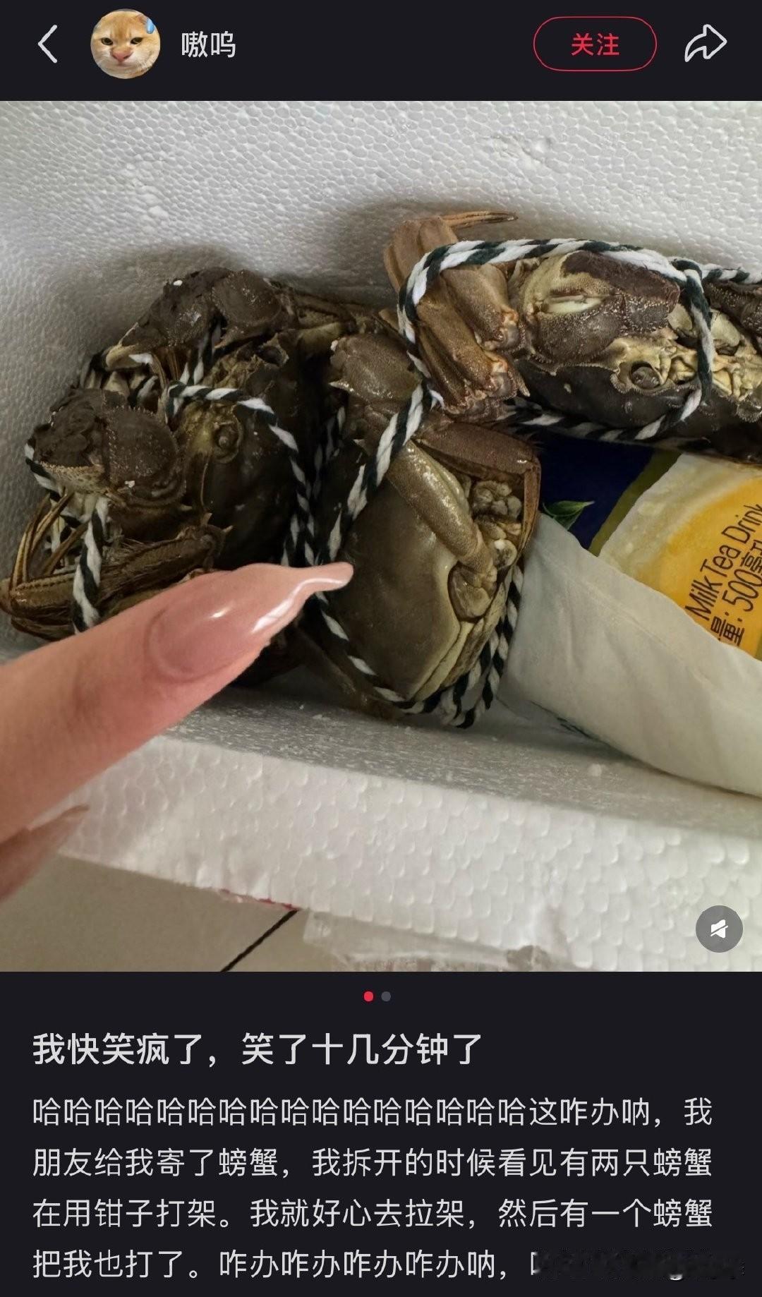 观众当的好好的，你偏上擂台当裁判[doge]