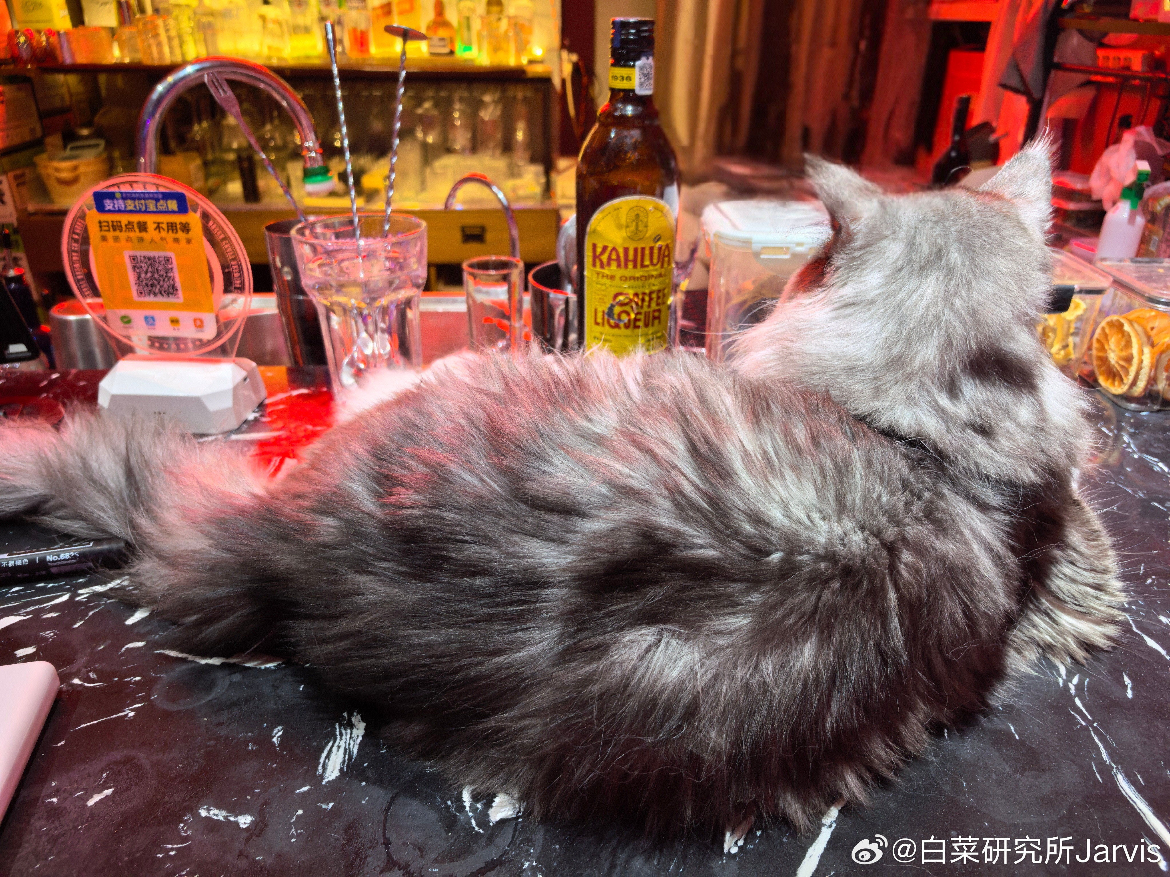 吃完烧烤来哈酒🍻​​​