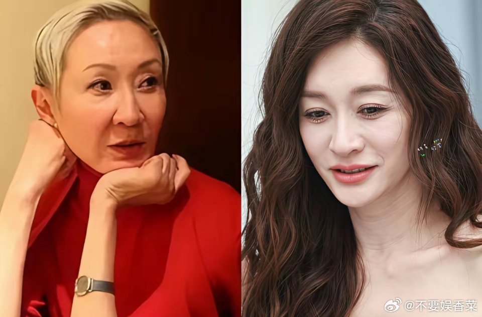 李小冉啊李小冉，你可长点心吧。 千万别走了施南生的老路，结婚十多年，一直坚持丁克