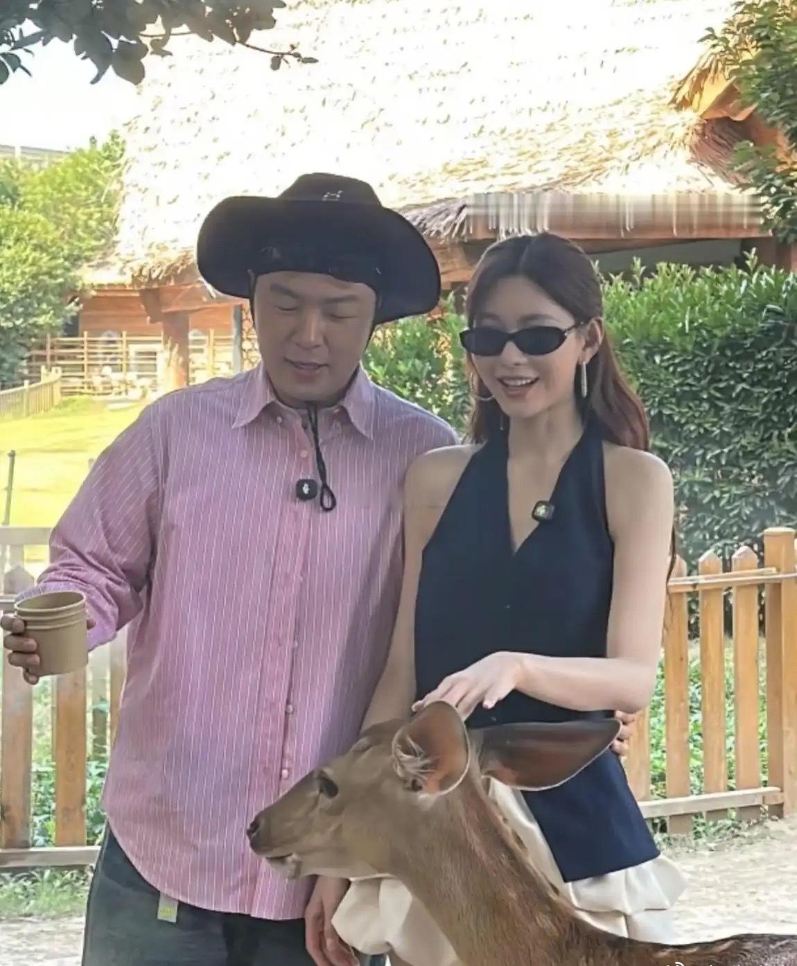 沈梦辰当年怎么看上杜海涛的啊​​​