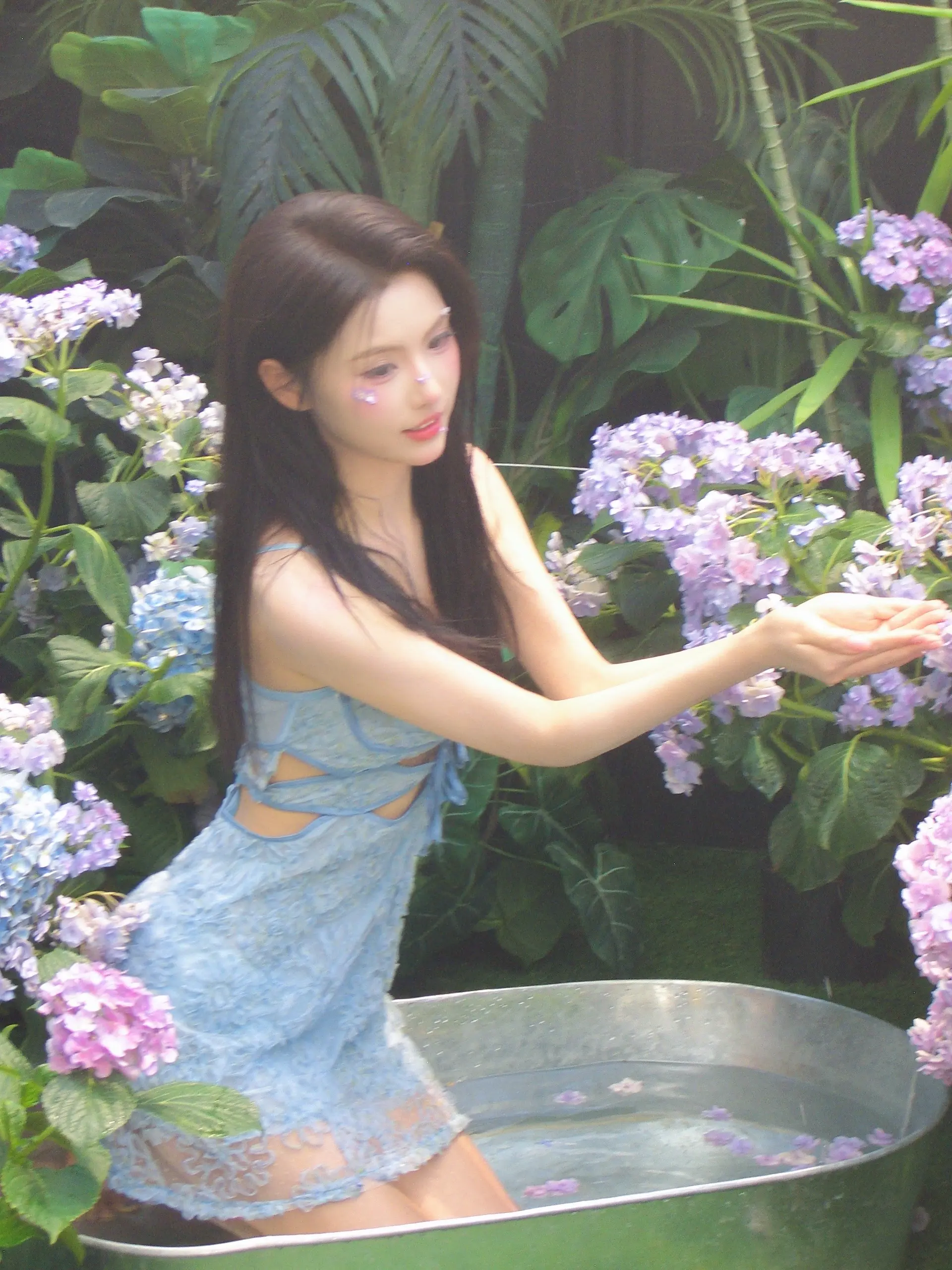 绣球花