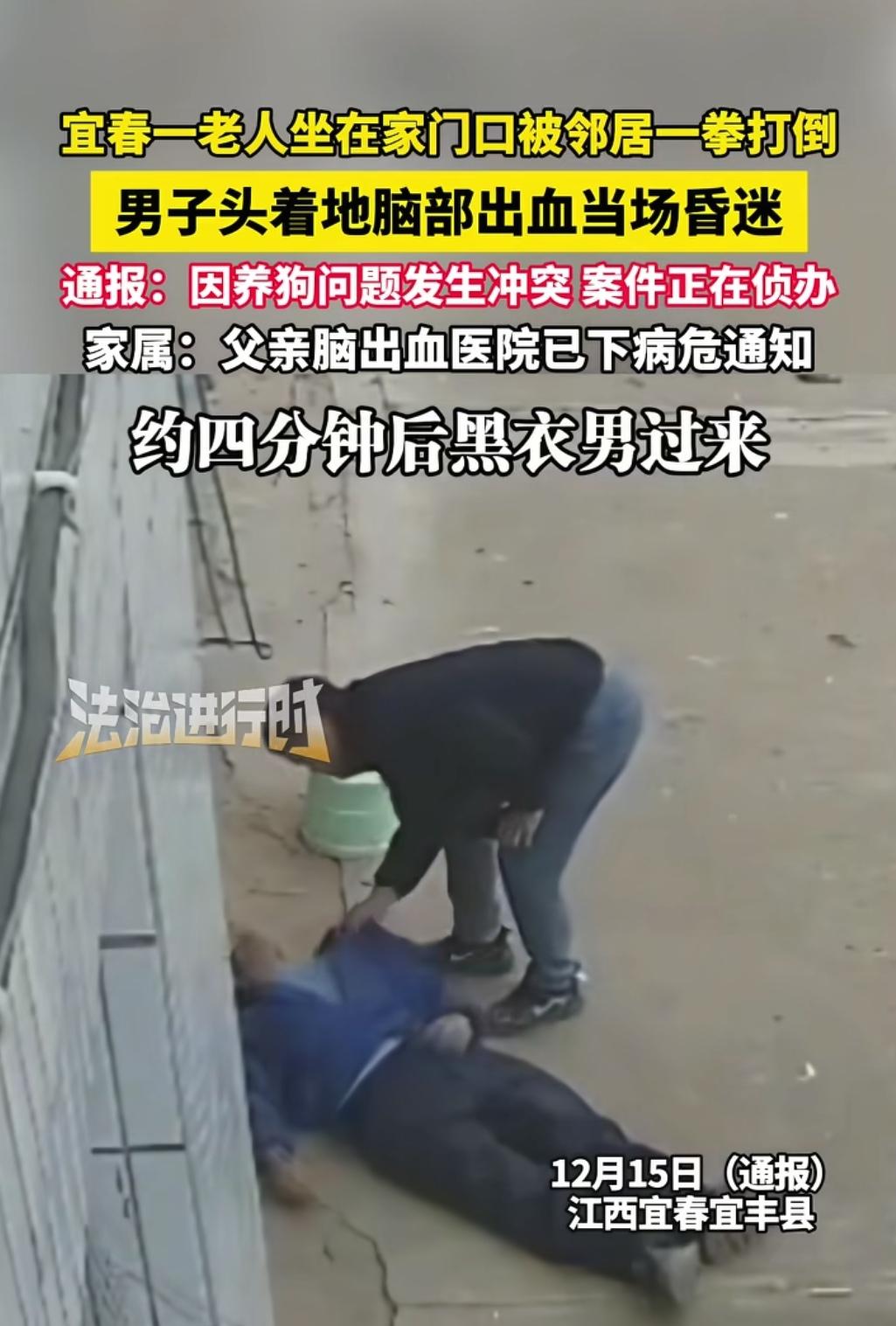 宜春老人被打至病危，一拳背后的积怨和争议，没有绝对的单方面对错！李某家养了5只狗