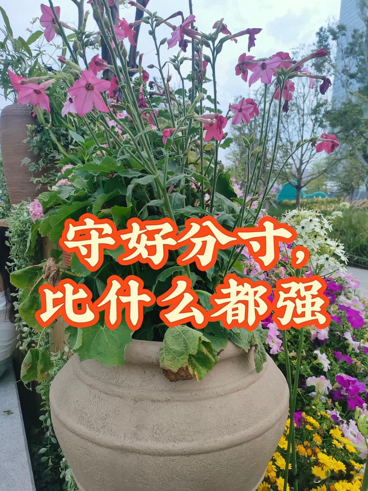 老程说：10条处世规矩，记不住吃亏老程说的大实话。1.邻里之间，点头就