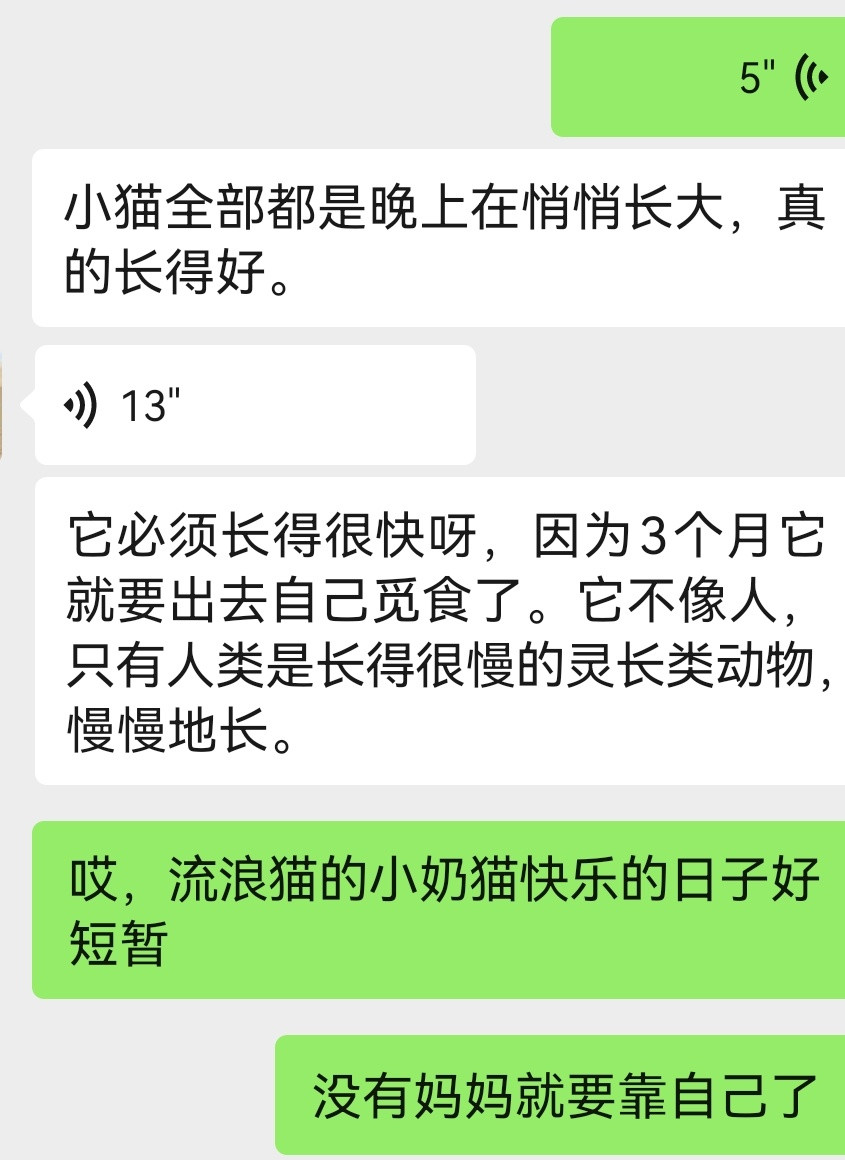 🐱第21天今天的三小只，很干净，很健康，突然感觉又长了好大一圈和昨天晚上又不