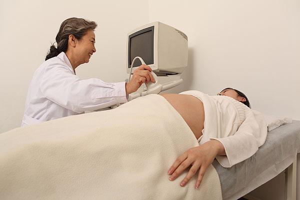 宝妈怀孕后胎宝胚芽大小多少算正常, 4到40周胎儿发育指标全攻略