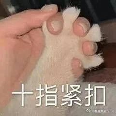水瓶的爱：我不说，但你交代的事我都办了天蝎的爱：我不说，但你三年前那句话的语气我