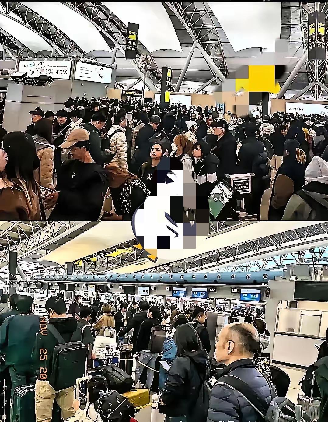 傻眼了吧！赴日潇洒游，如今想回却卡机场，不听劝的代价来得又快又狠。成田、羽田机场