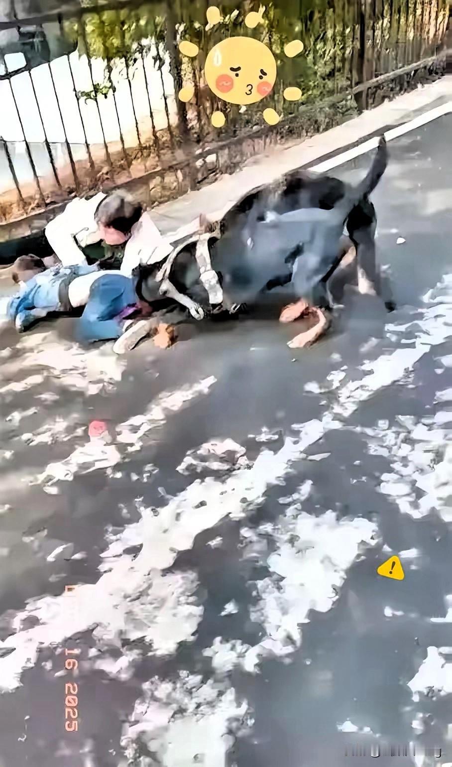 北京毒狗案吵翻了天，但光喊定罪真没抓住重点！投毒者获刑4年不冤，可矛盾根源从来不