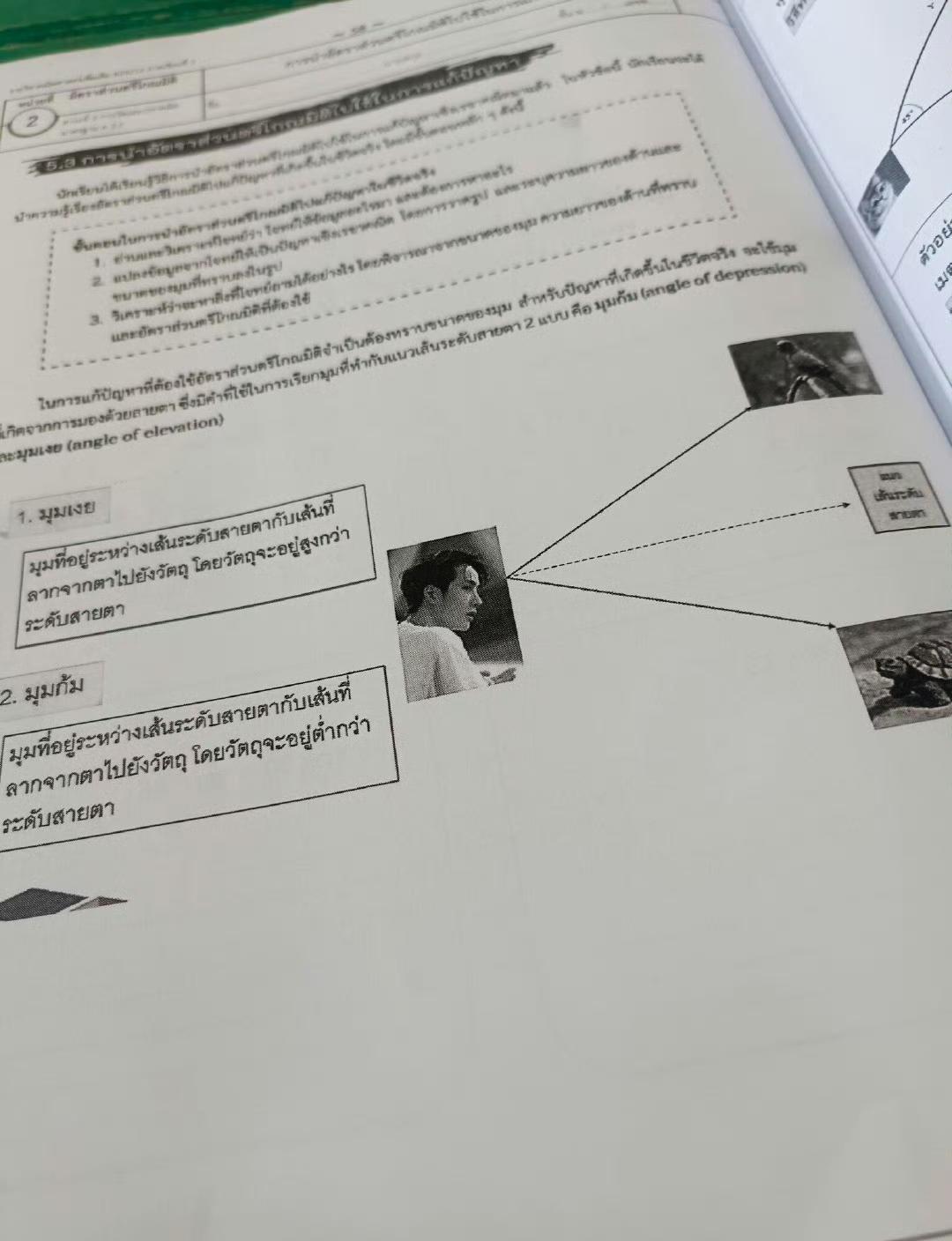 见过很多次王一博出现在考题中试卷中，还是第一次看到王一博出现在教科书里[捂脸哭]还