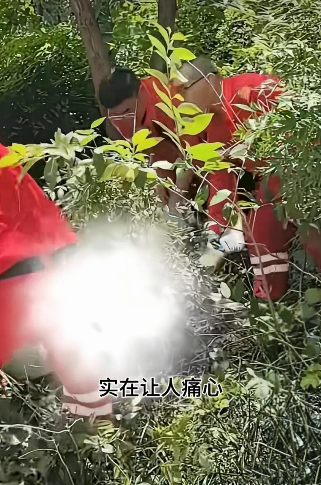 失联14天的程梦圆终于被找到了，是在一处悬崖底下发现的，不出意料，人
