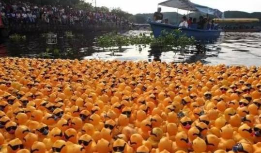 1992年，我国一艘货轮上28000多只小黄鸭因意外掉入太平洋，没想到这些小黄鸭