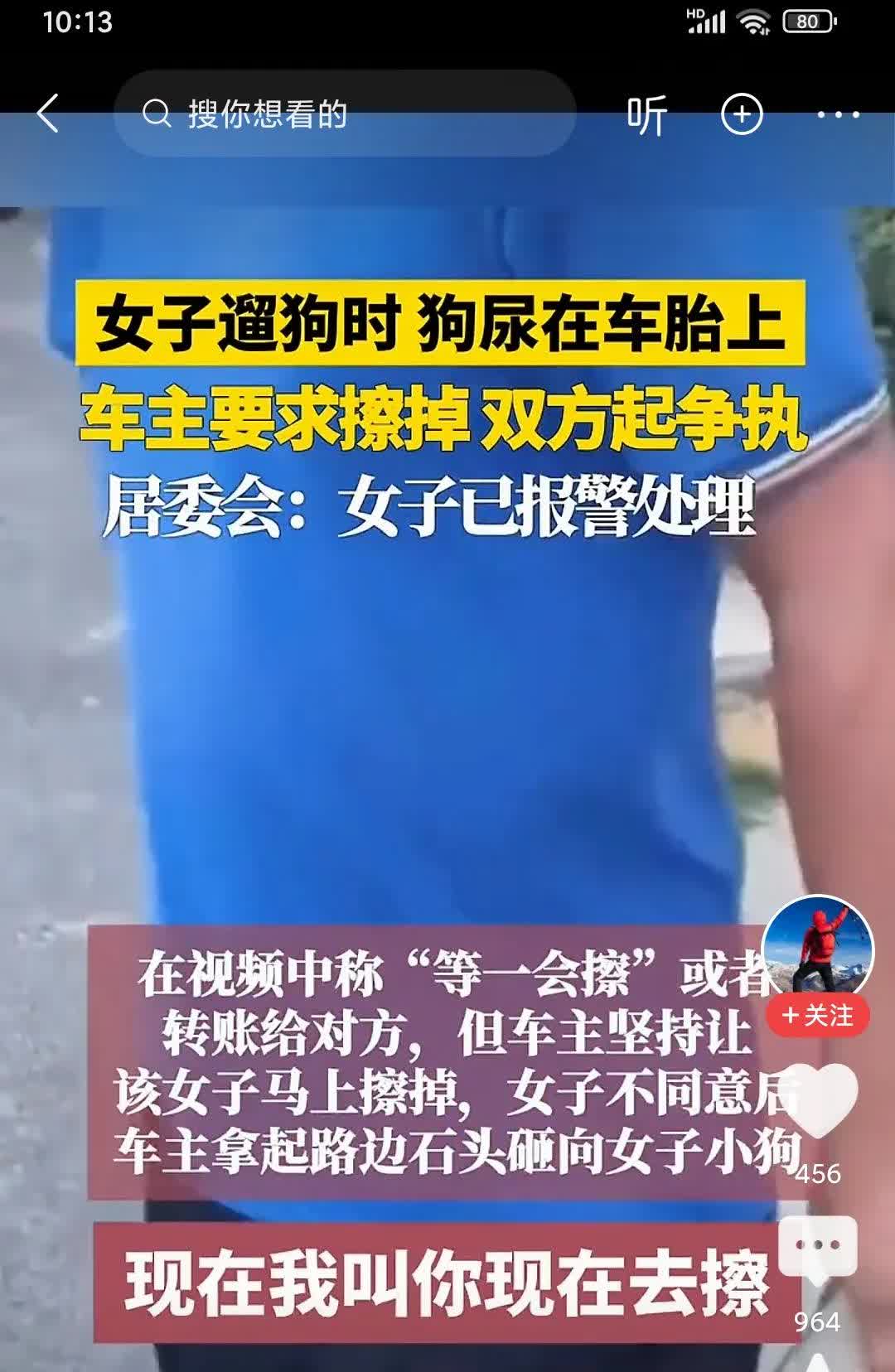 女子遛狗，狗尿撒车轮上。车主要求狗主擦干净，狗主要拿钱摆平。车主拿砖头砸狗，后来