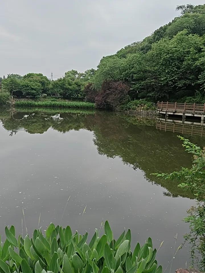 长沙国王陵公园（望月公园）古时诸侯王的陵园之地，今已建成市民游客的休息，健身之地