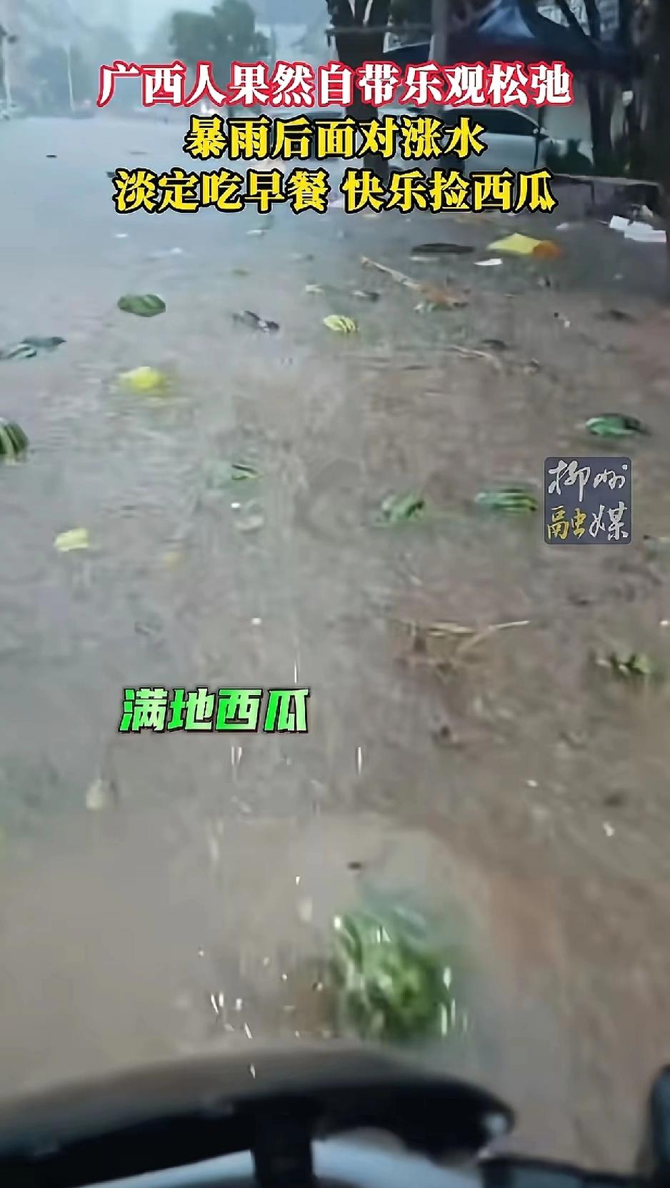 “水淹到大腿还在捡西瓜”，这就是广西人天生自带的松弛感！这几天，广西钦州连日暴雨