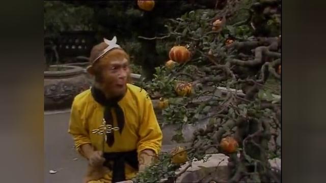 4674255704674126837.jpeg?id=0