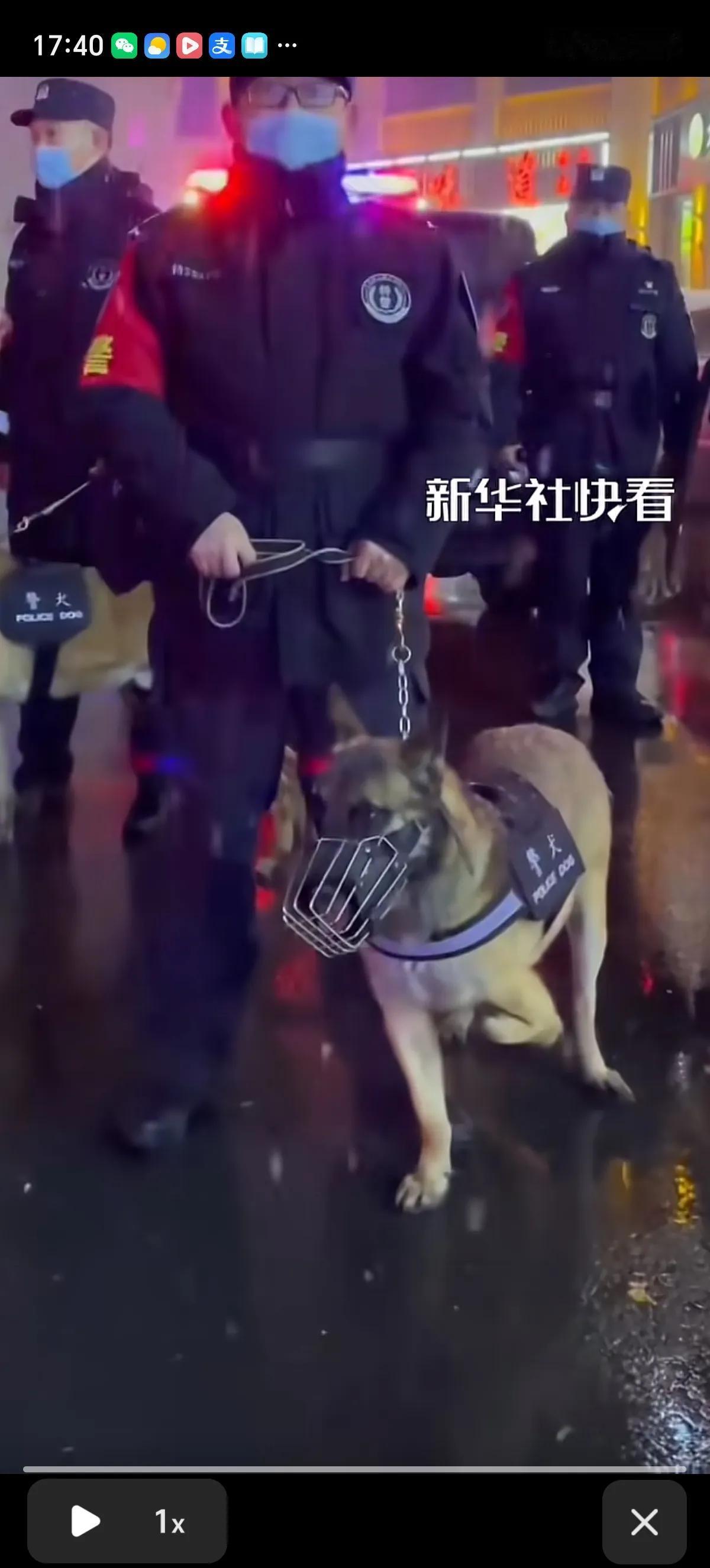 都不看好你，可你偏偏最争气。警犬巴顿出生时发育不良，只有三条正常的腿，曾被医生建