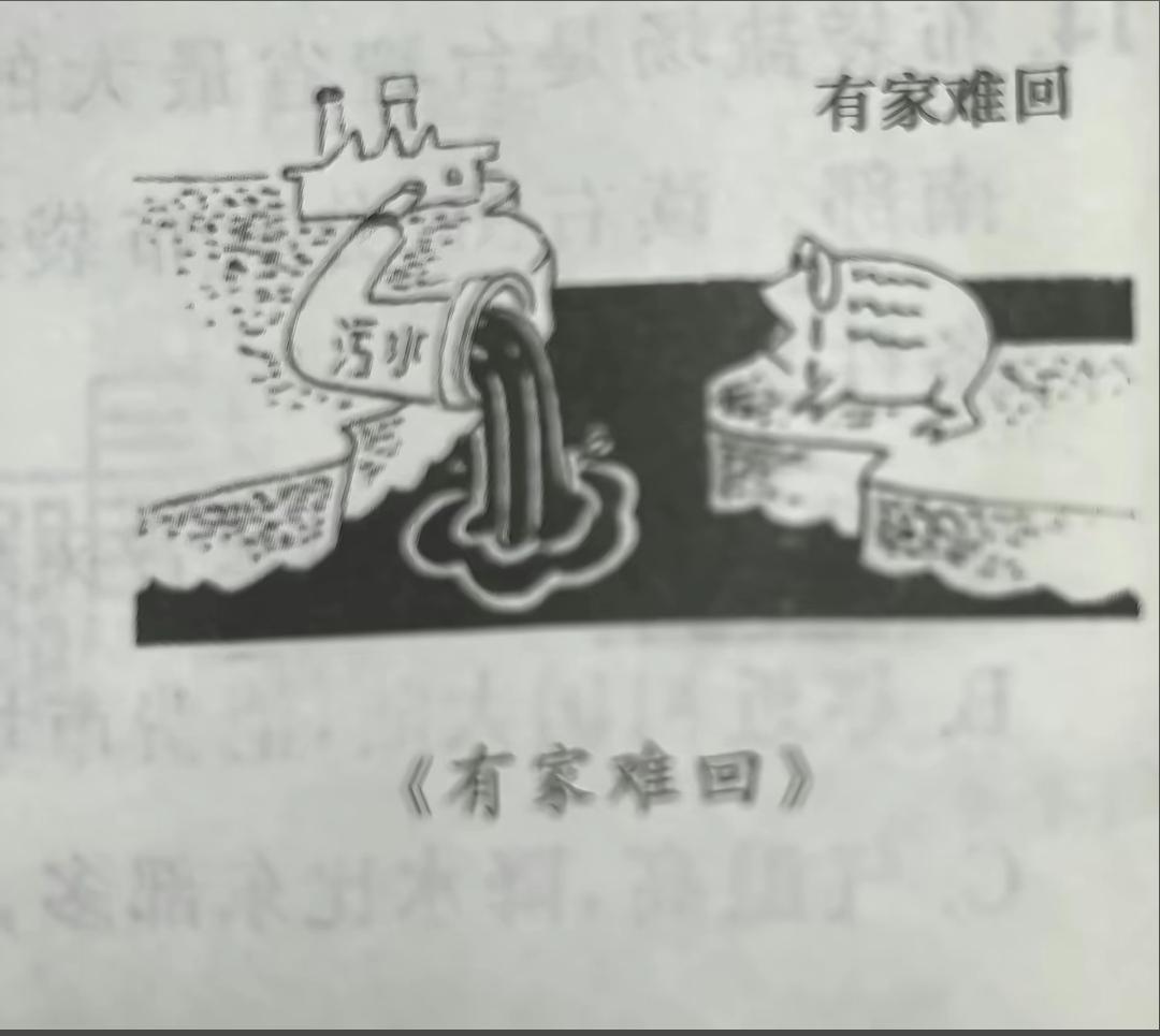 第1次觉得画家这么厉害，合着两边都不讨好呀！这是一个普普通通的环保宣传画，能