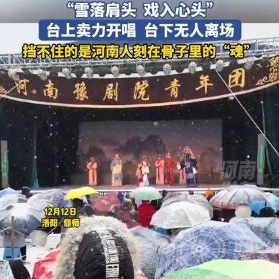 最近河南洛阳偃师的一场雪，把人心都暖化了！河南豫剧院青年团到村里连唱三天六场大戏