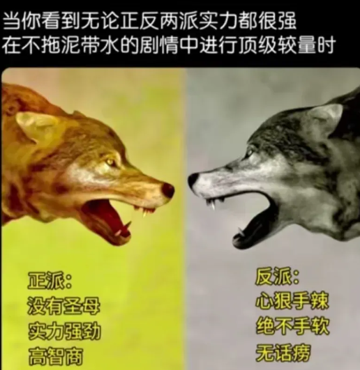 哪一部剧符合这个设定？