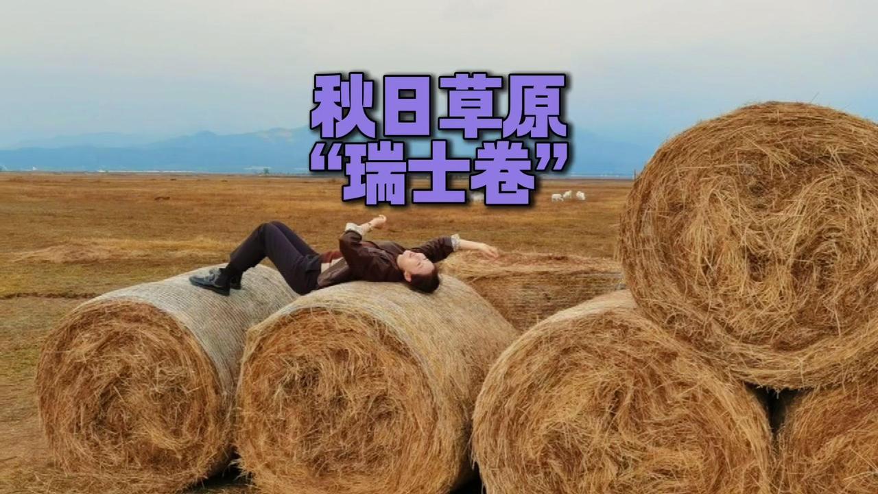 🌾呼和浩特的秋天真的太惊喜了！10月的敕勒川草原，简直是打翻了调色盘。全国上百