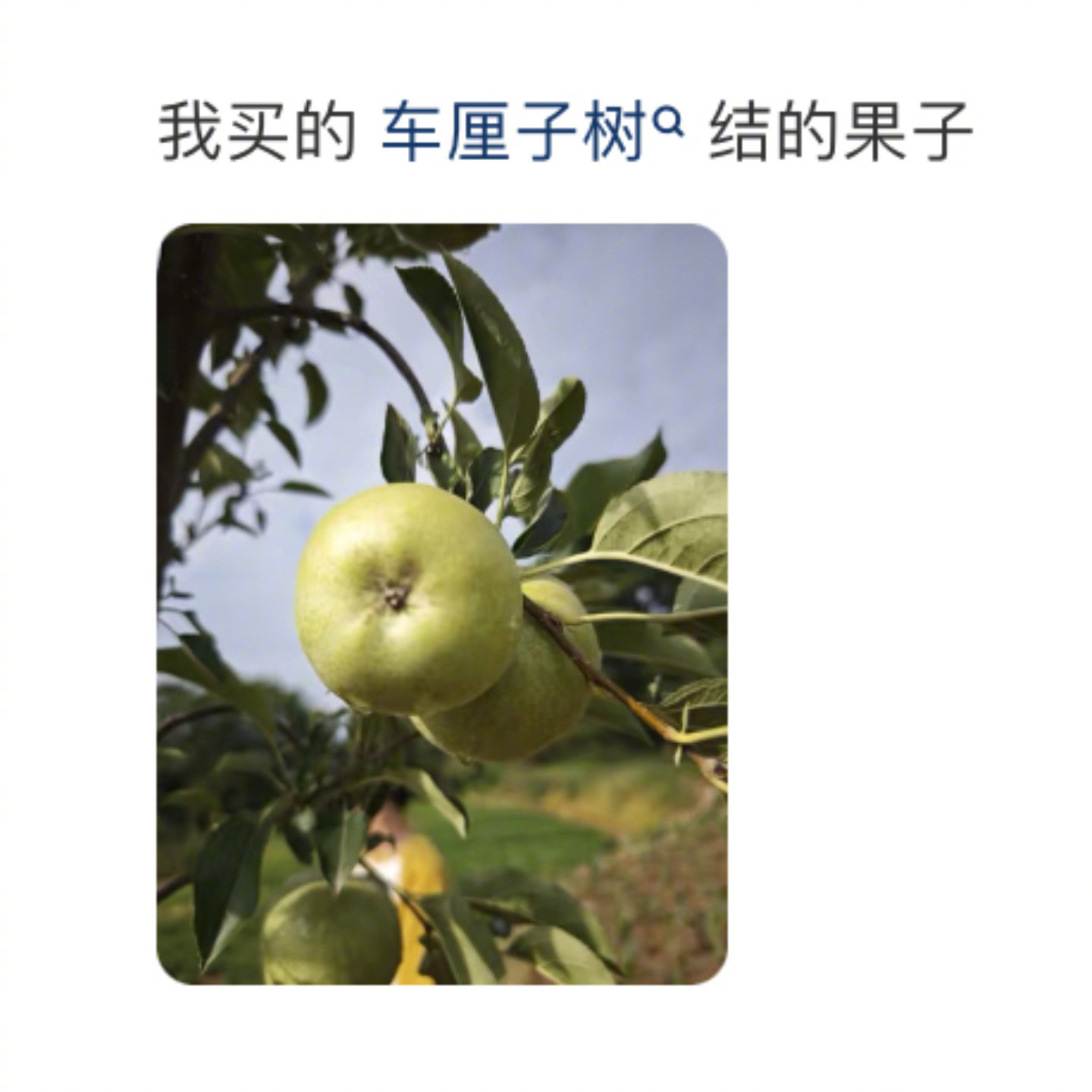 种东西才是真正的开盲盒