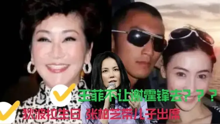 锋菲恋与峰芝恋对比：究竟谁才是最终赢家？