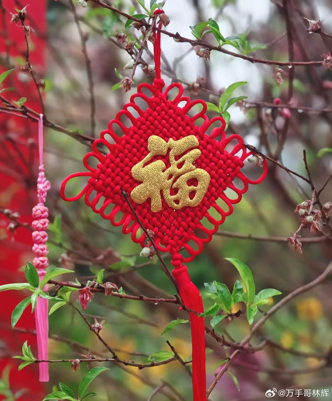 一年只交易一次当现在有许多人呼吁A股延长交易时间，甚至还有人高呼实行“24小时交