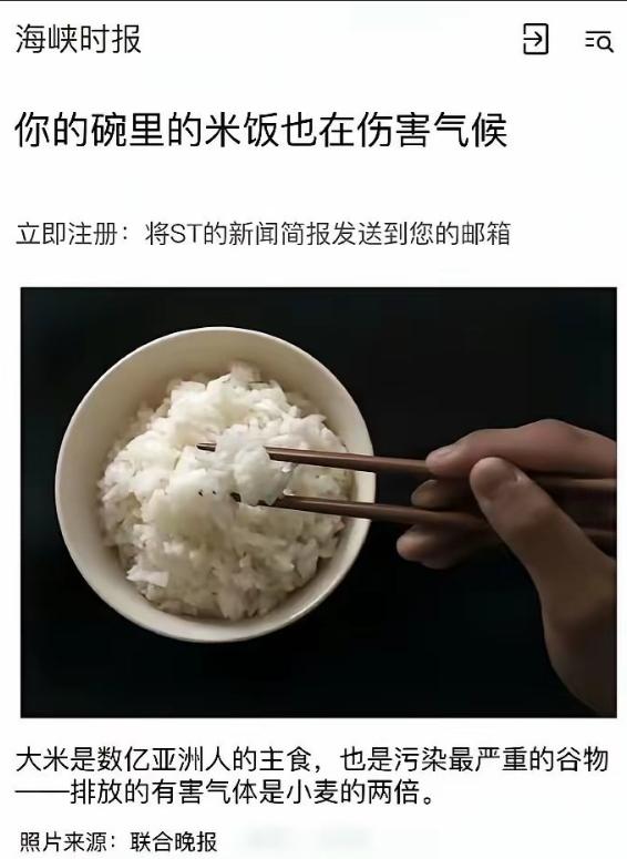 新加坡媒体：你的碗里的米饭也在伤害气候！最近，新加坡有家媒体发了一篇文章，标题