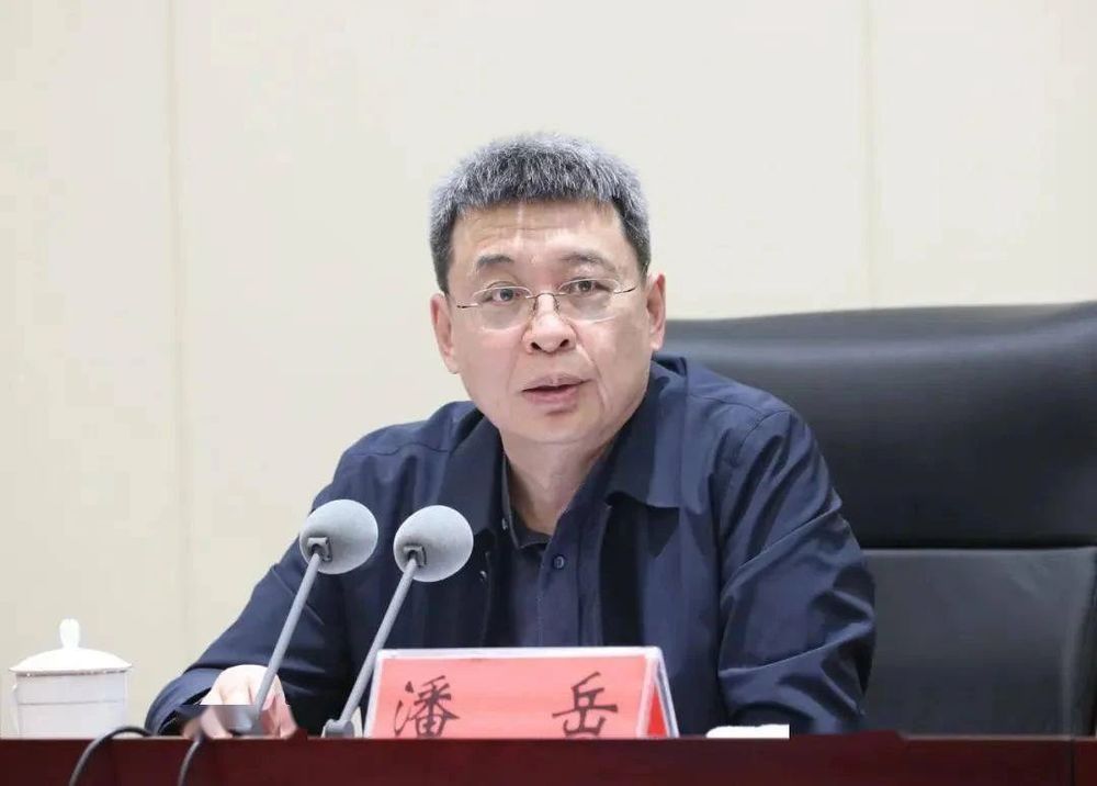 中央委员潘岳, 获任新职