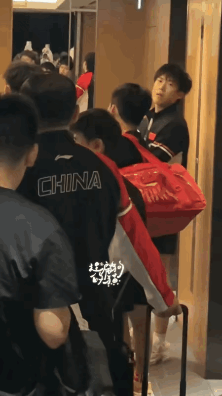 莎莎“淹没”男队中，大头“着急”张望：抵达日本横滨的国乒，莎莎这家伙走的太着